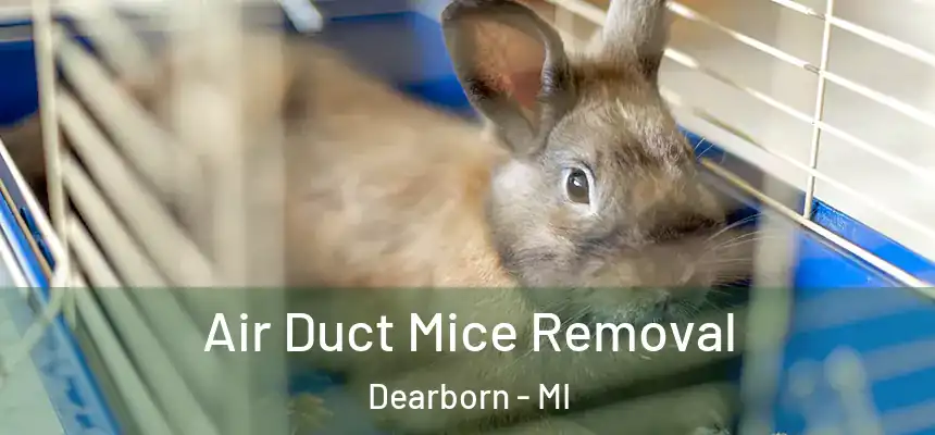  Air Duct Mice Removal Dearborn - MI