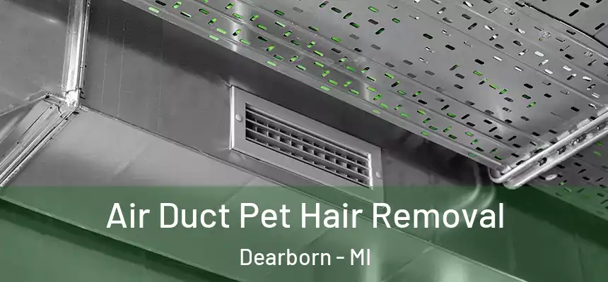  Air Duct Pet Hair Removal Dearborn - MI
