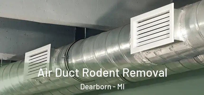  Air Duct Rodent Removal Dearborn - MI
