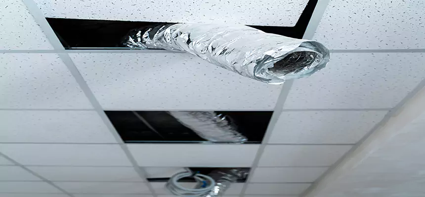 Our Air Duct Pet Hair Removal Services in Dearborn, MI