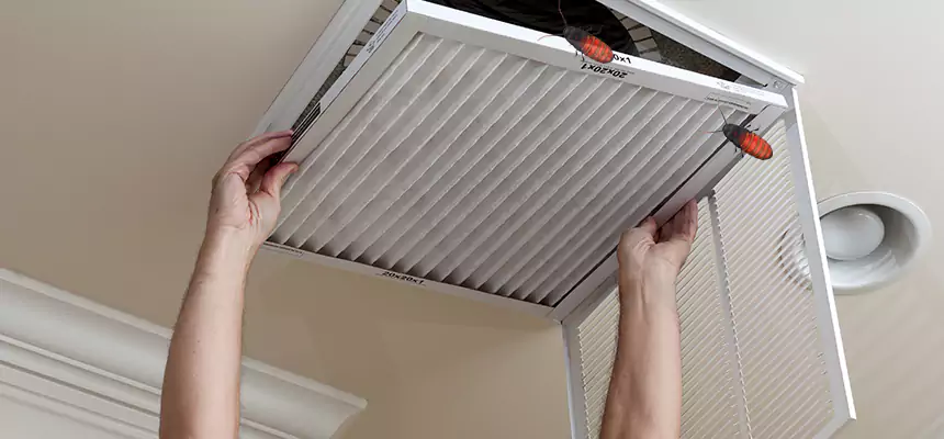 Our Insect Removal from Air Ducts Services in Dearborn, MI