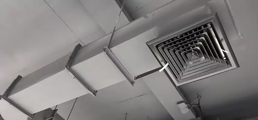 Our Pest Removal From Ducts Services in Dearborn, MI