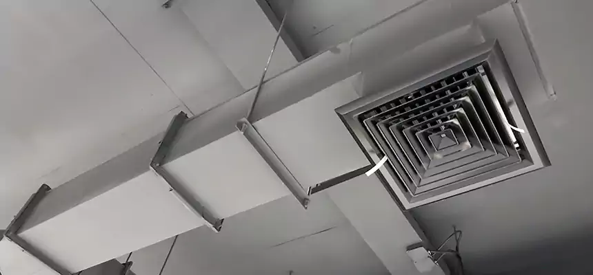 Our Rodent Droppings In Vents Services in Dearborn, MI