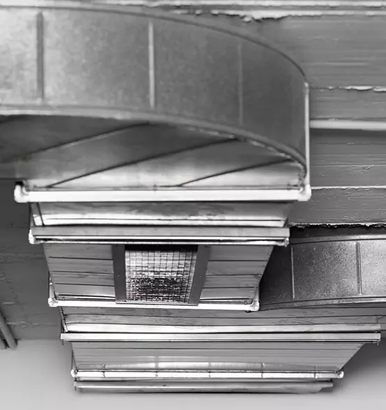 Professional Air Duct Pet Hair Removal in Dearborn, MI