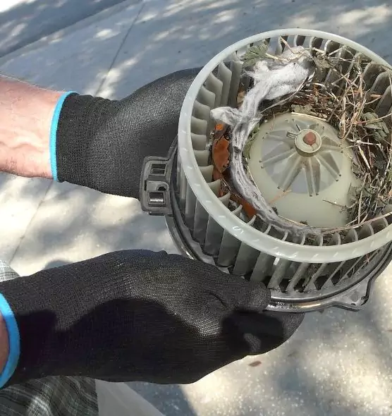 About Air Duct Rat Removal in Dearborn, MI