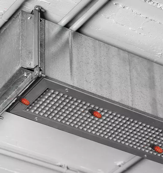 Affordable Insect Removal from Air Ducts in Dearborn, MI