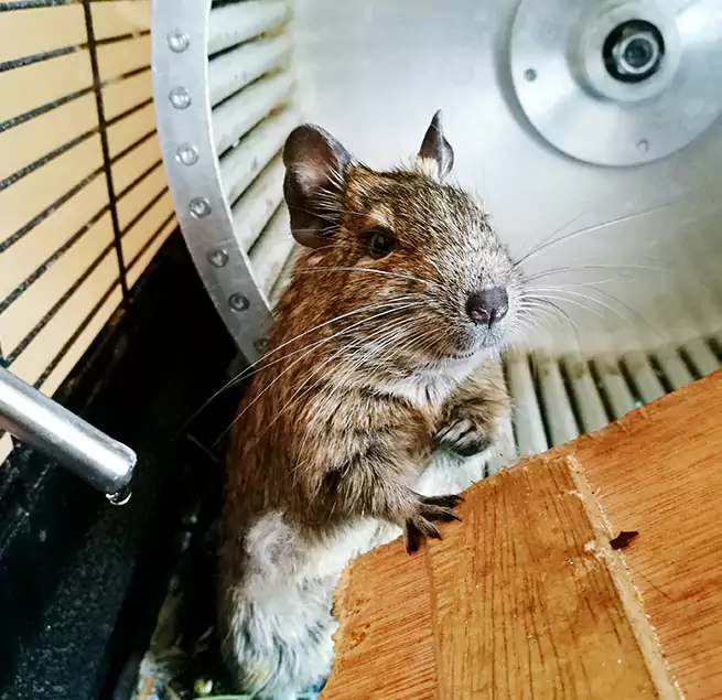 Why Homeowners & Businesses Trust Us Dearborn, MI?